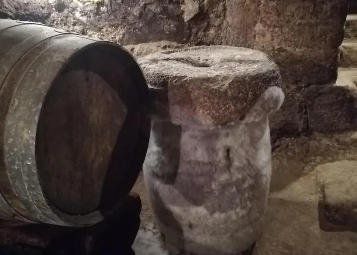 Calao De Cuatro Copas